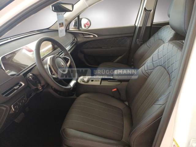 Fahrzeugbild eines GWM Ora 03