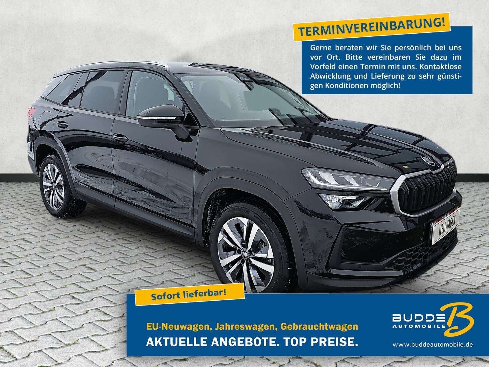 Fahrzeugbild eines Skoda Kodiaq