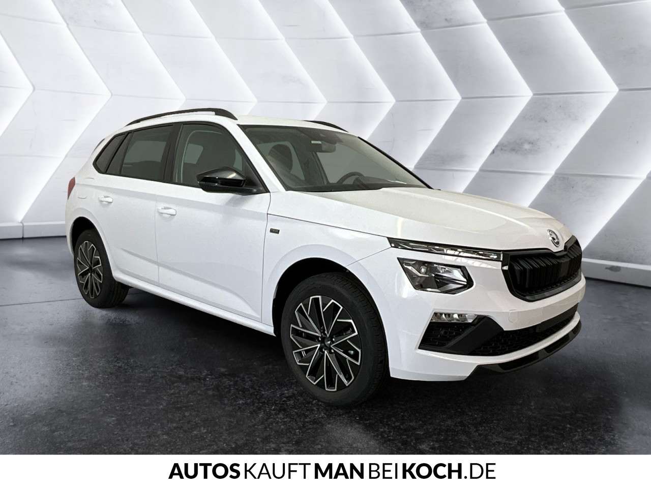 Fahrzeugbild eines Skoda Kamiq