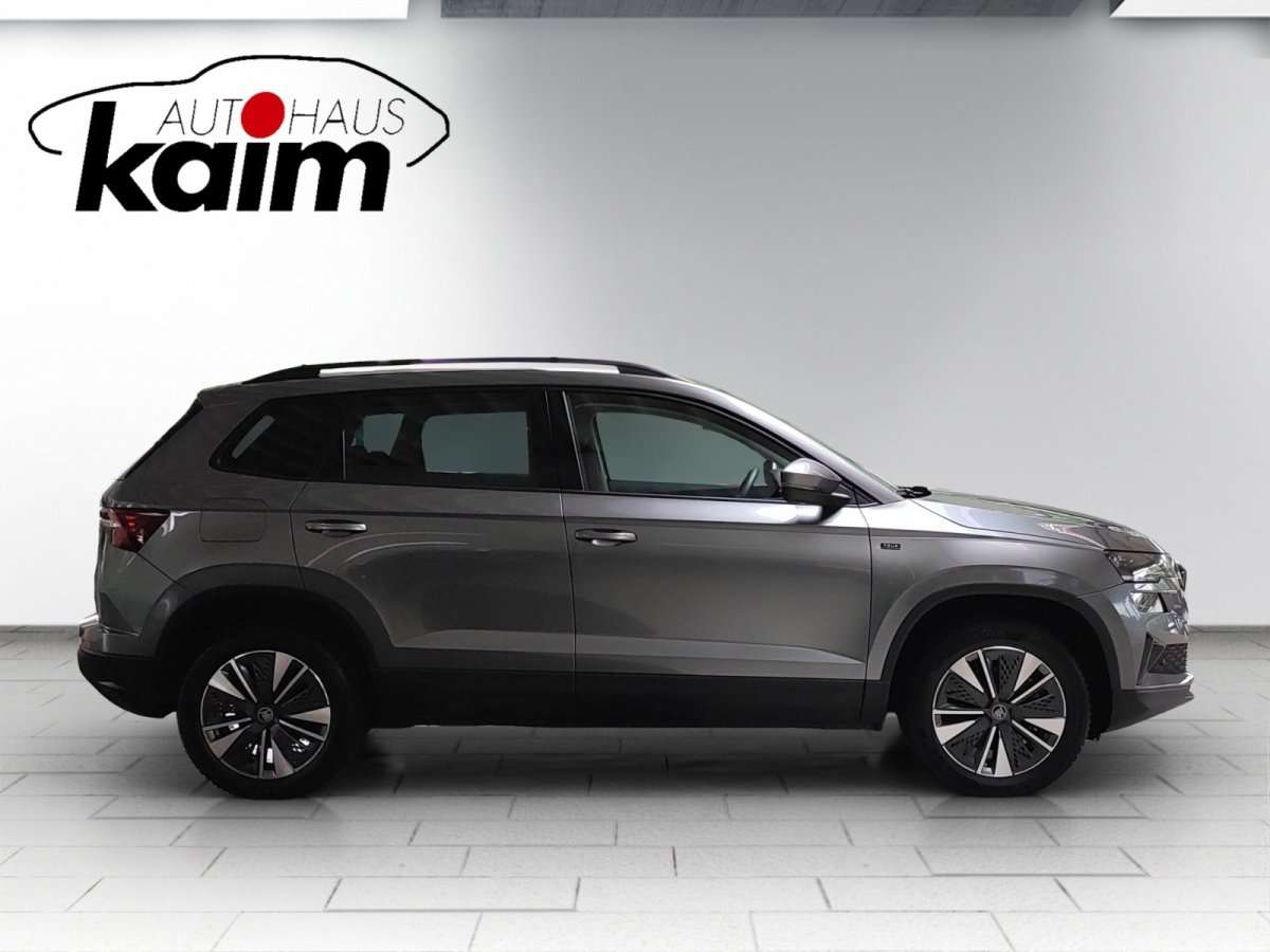 Fahrzeugbild eines Skoda Karoq