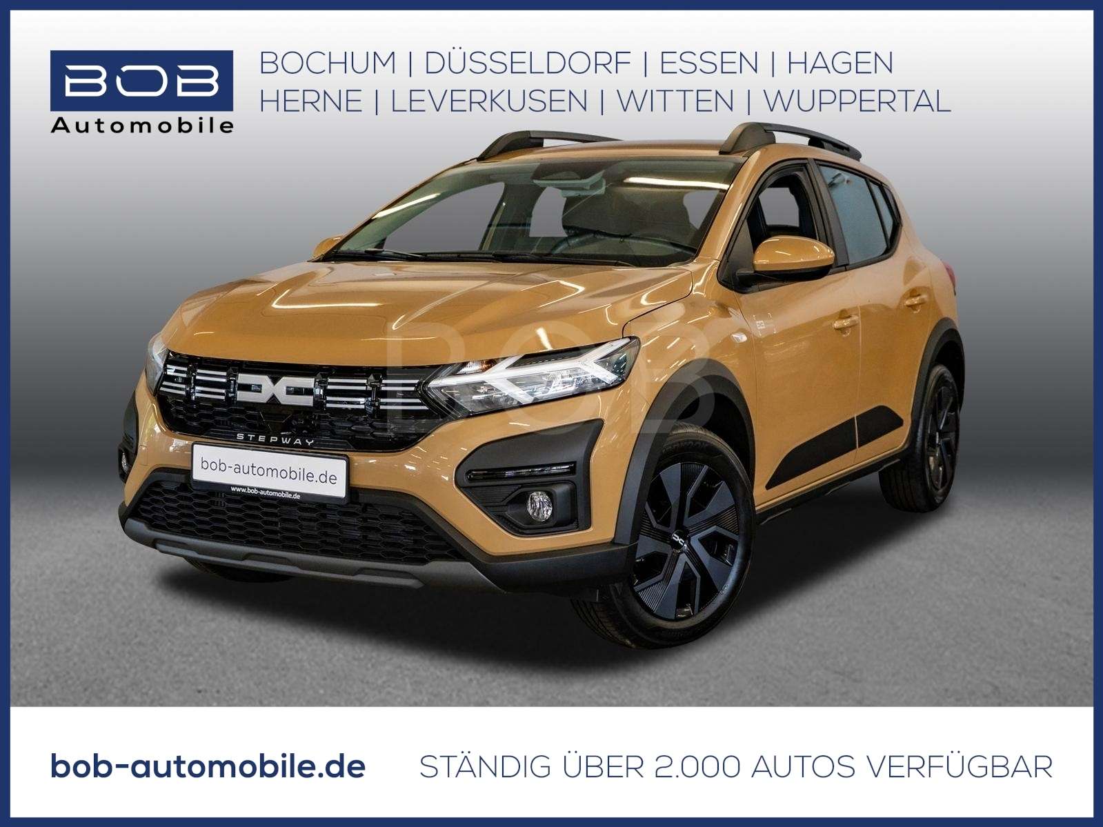 Fahrzeugbild eines Dacia Sandero