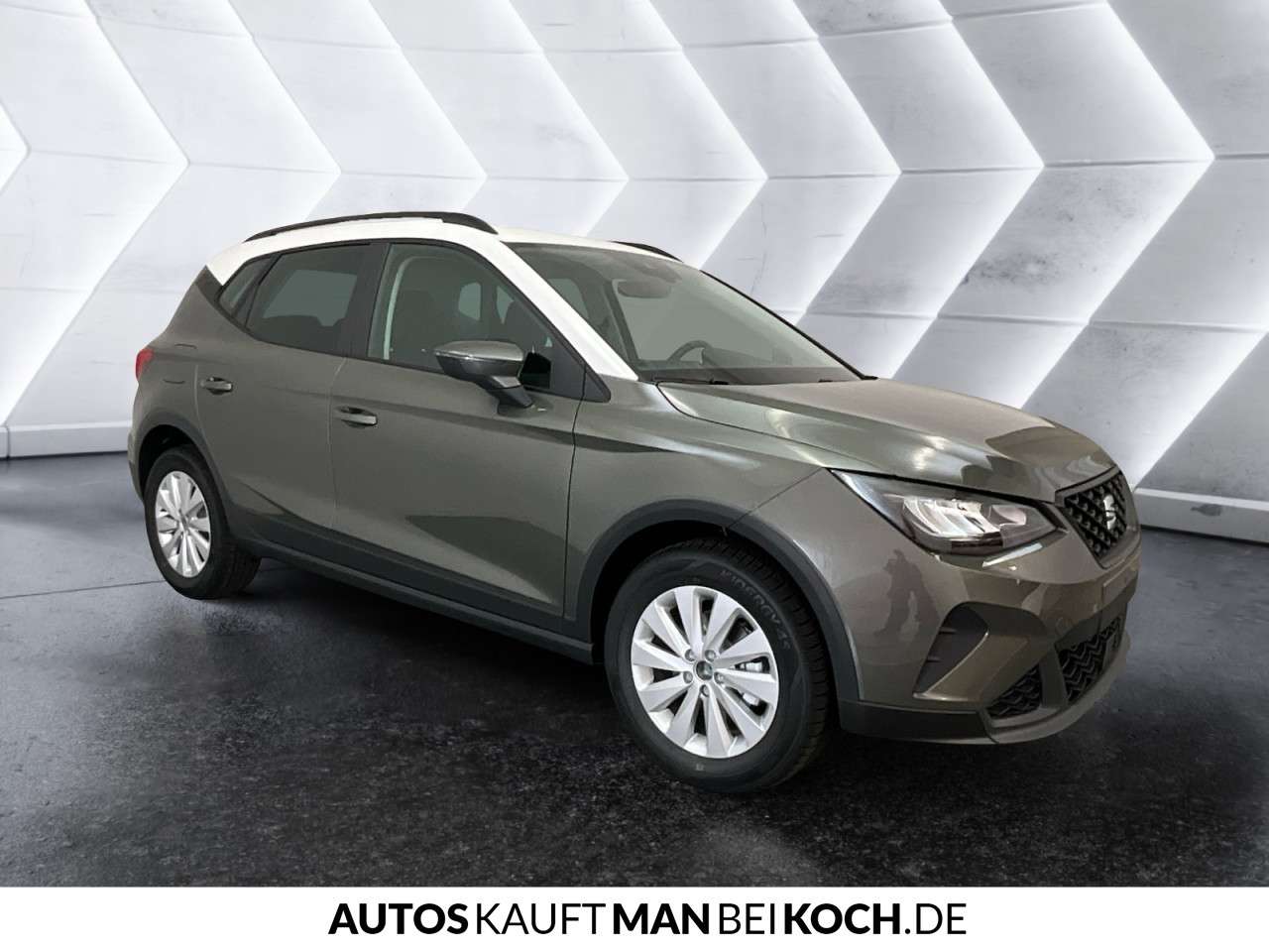 Fahrzeugbild eines SEAT Arona