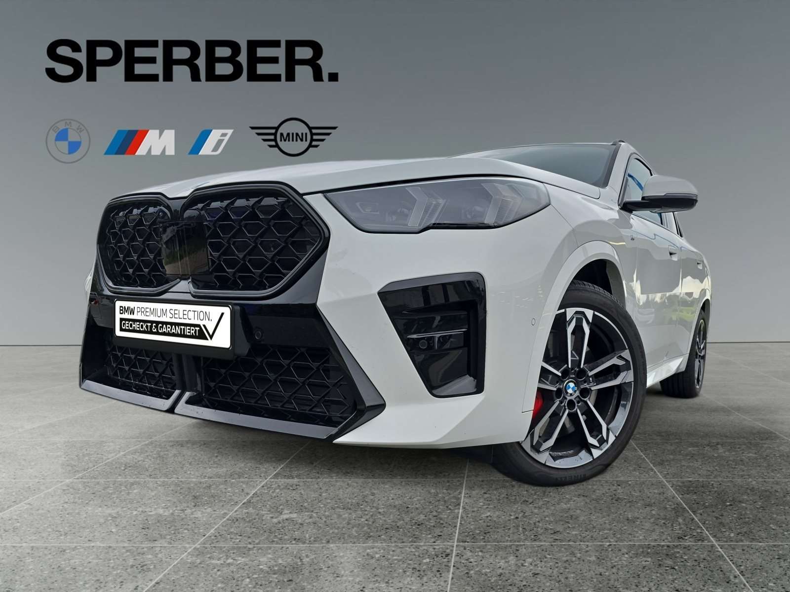 Fahrzeugbild eines BMW X2