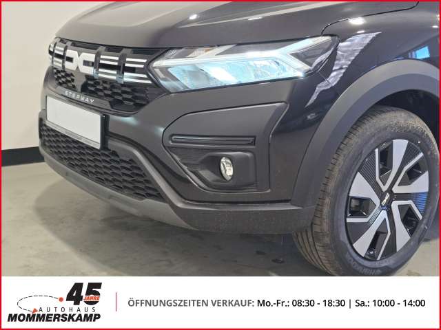 Fahrzeugbild eines Dacia Sandero