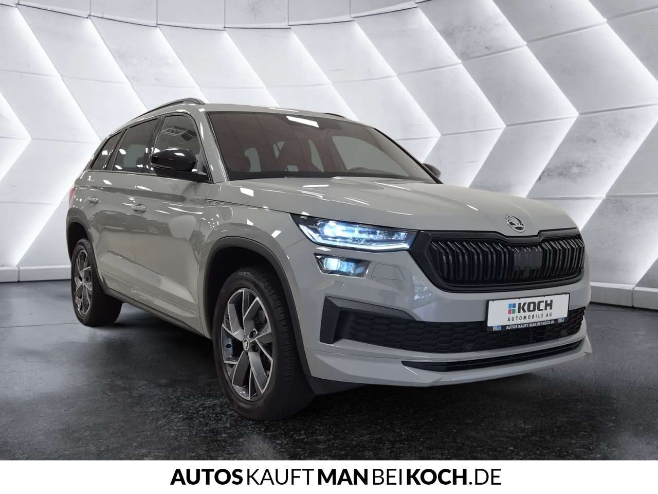 Fahrzeugbild eines Skoda Kodiaq