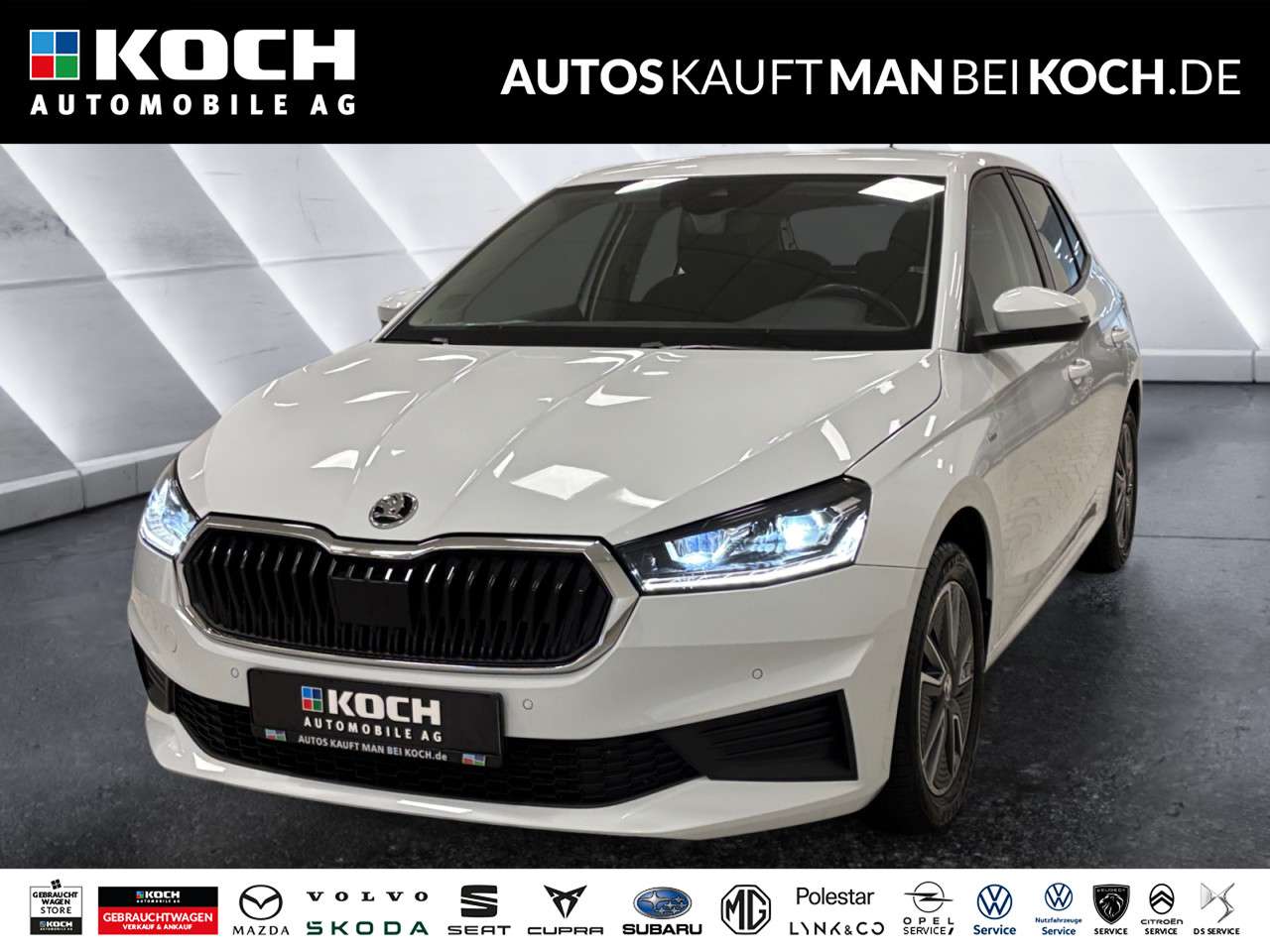 Fahrzeugbild eines Skoda Fabia