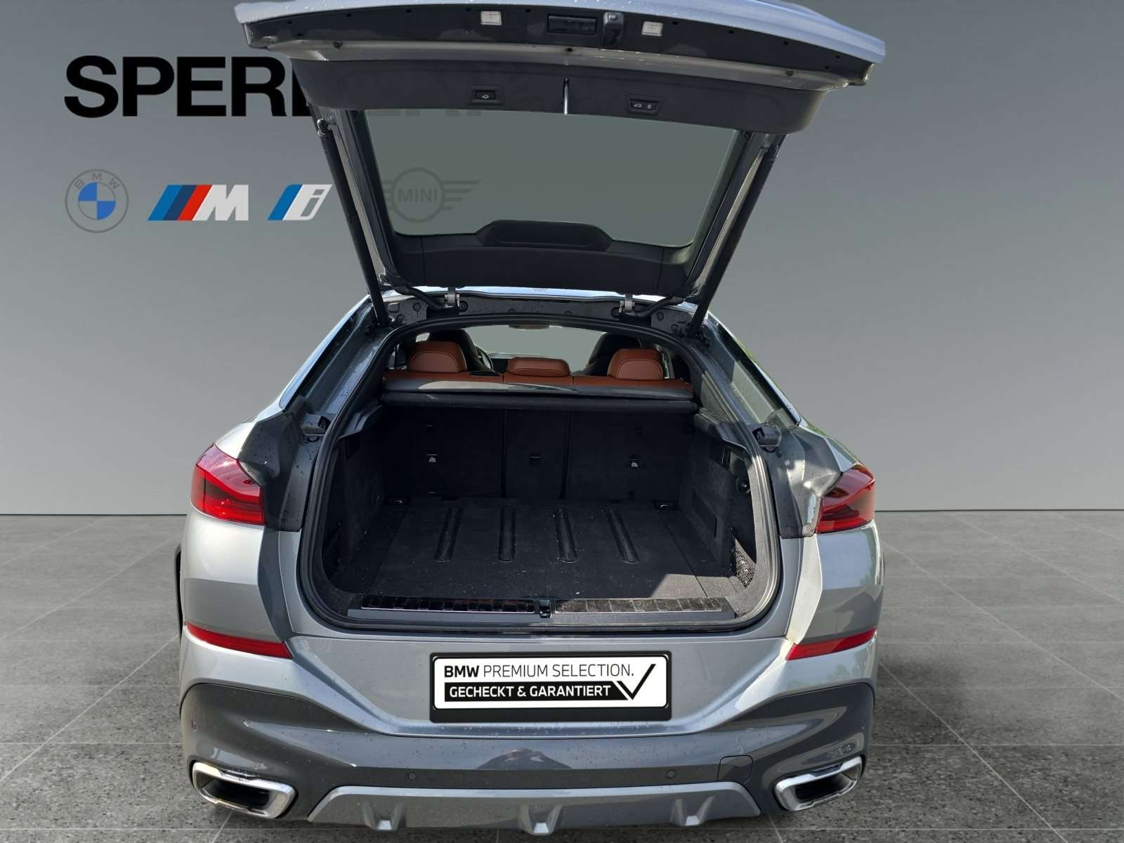 Fahrzeugbild eines BMW X6