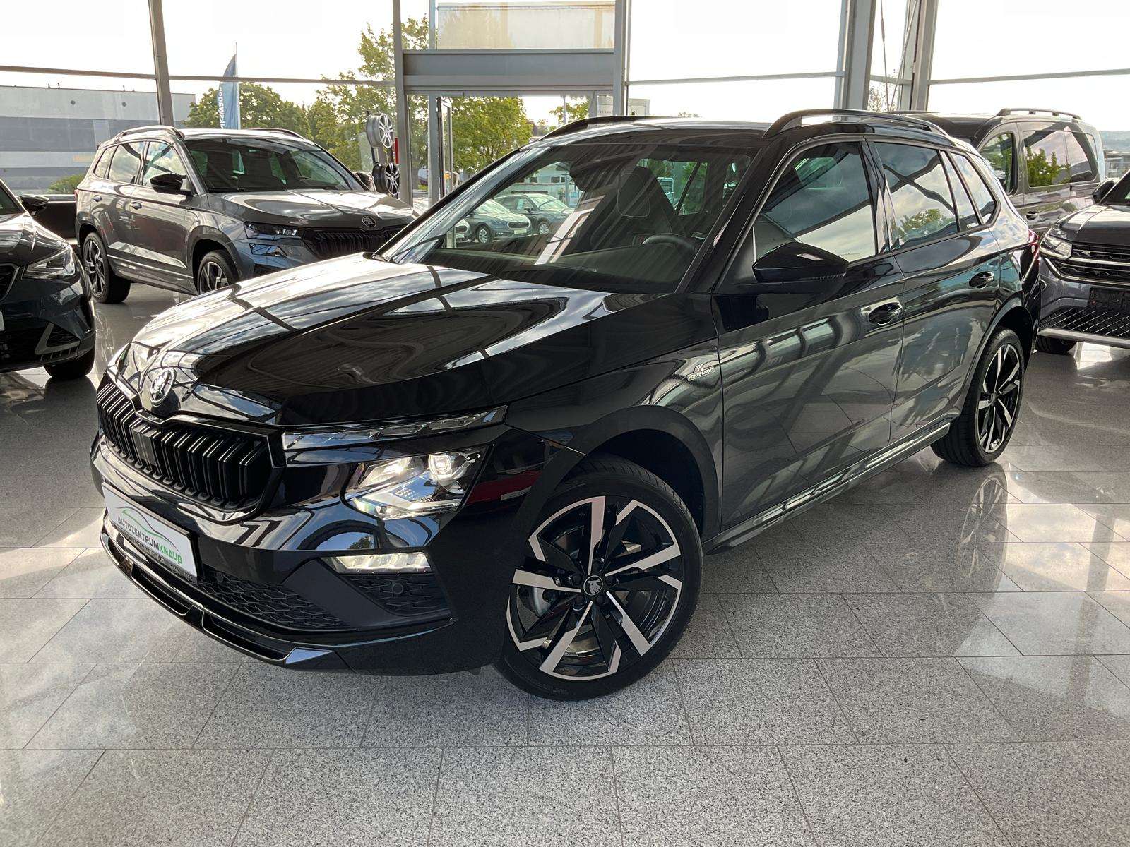 Fahrzeugbild eines Skoda Kamiq
