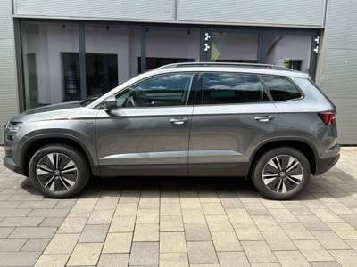 Bild Skoda Karoq