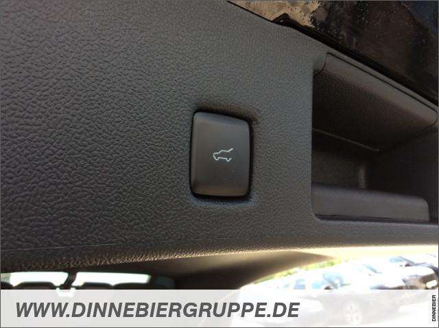 Fahrzeugbild eines Ford Kuga