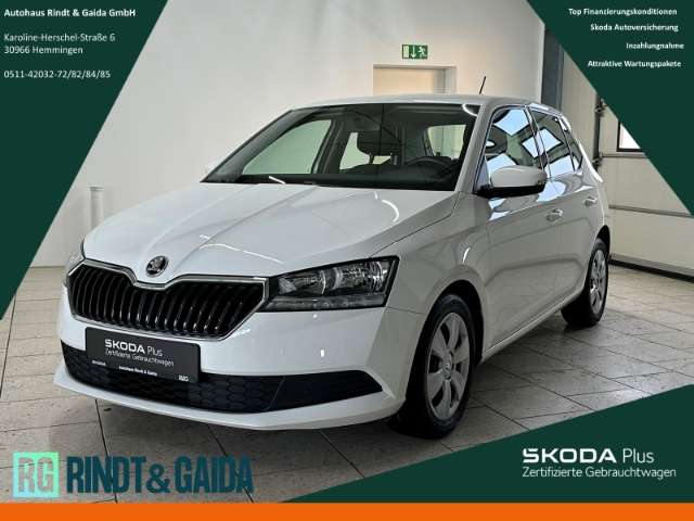 Fahrzeugbild eines Skoda Fabia
