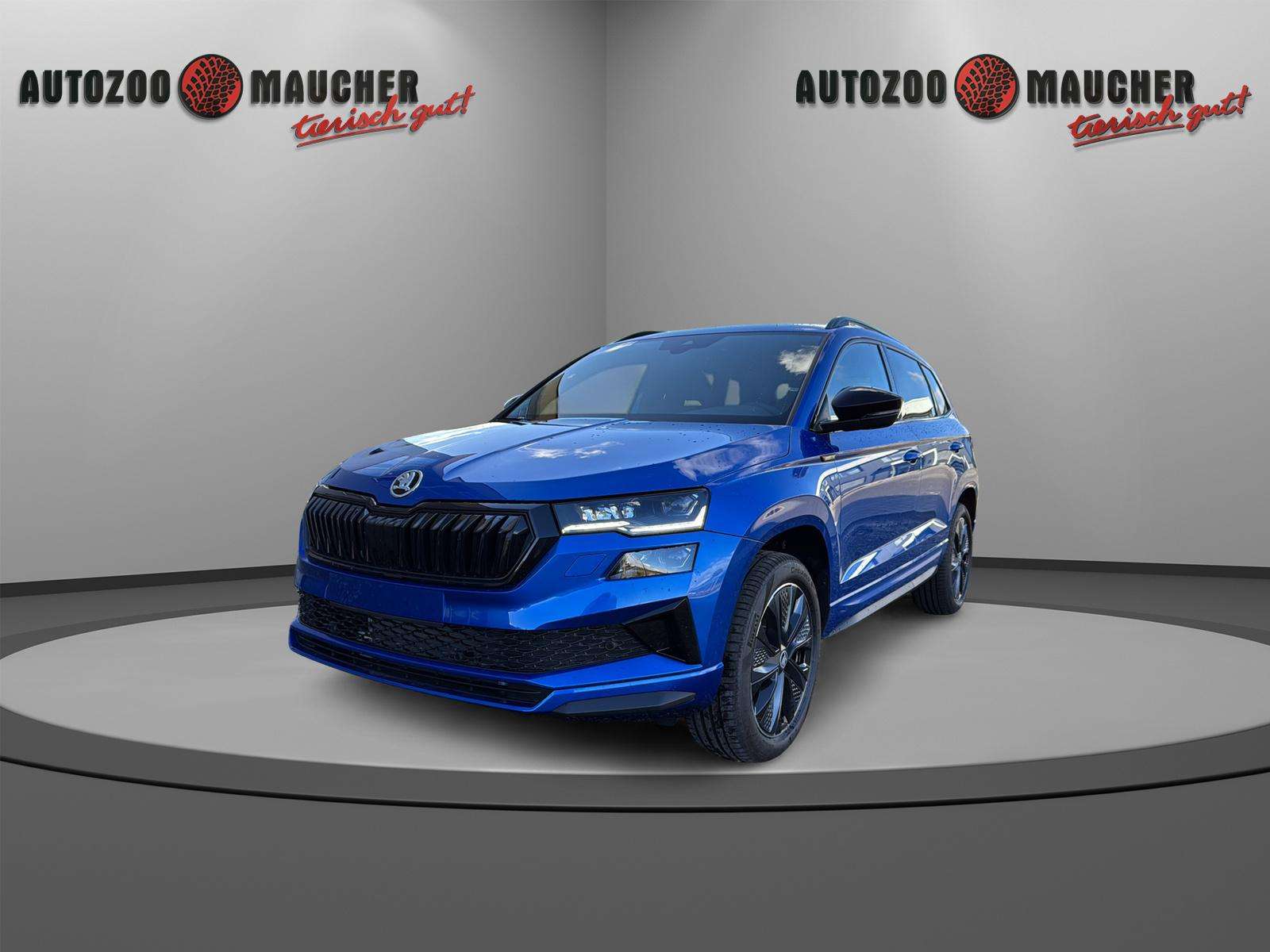 Fahrzeugbild eines Skoda Karoq