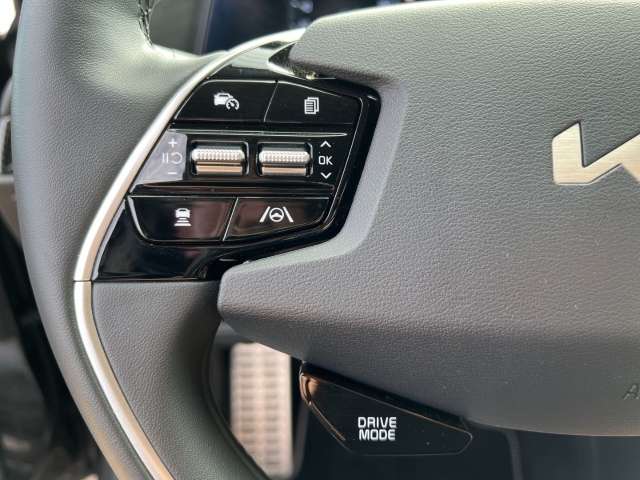 Fahrzeugbild eines Kia Niro