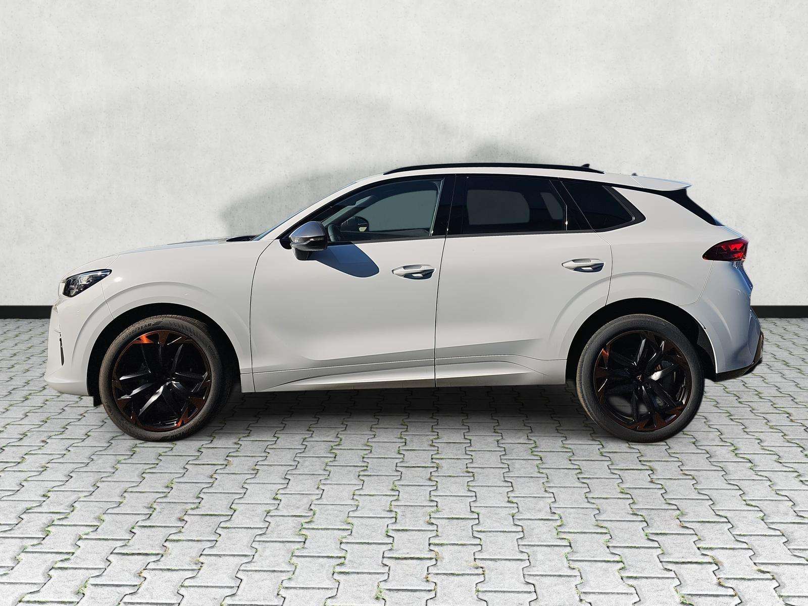 Fahrzeugbild eines CUPRA Terramar