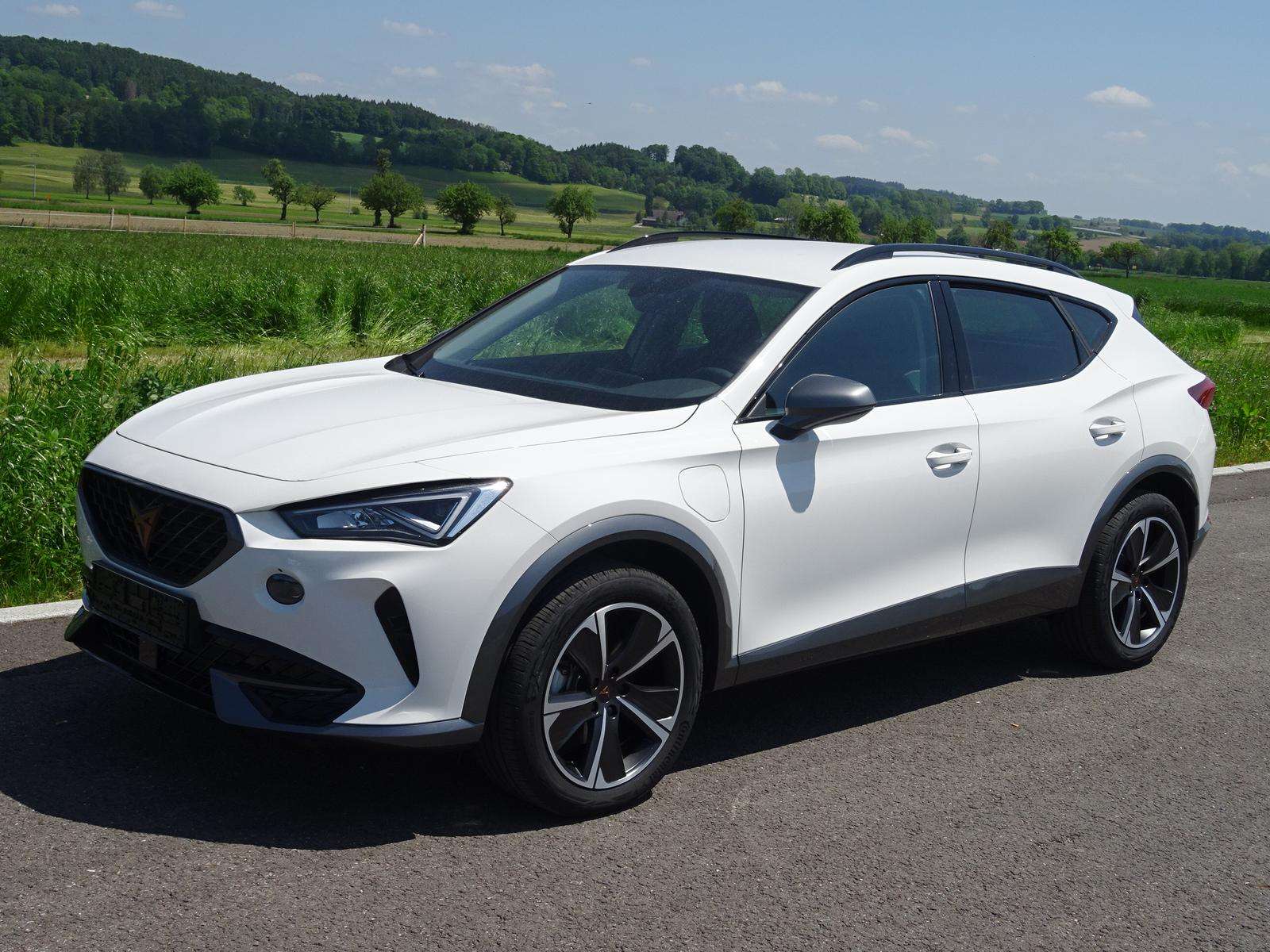 Fahrzeugbild eines CUPRA Formentor