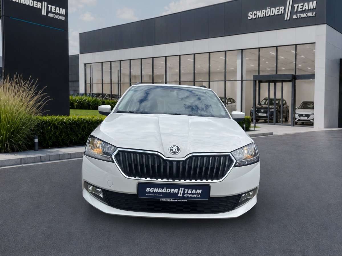 Fahrzeugbild eines Skoda Fabia