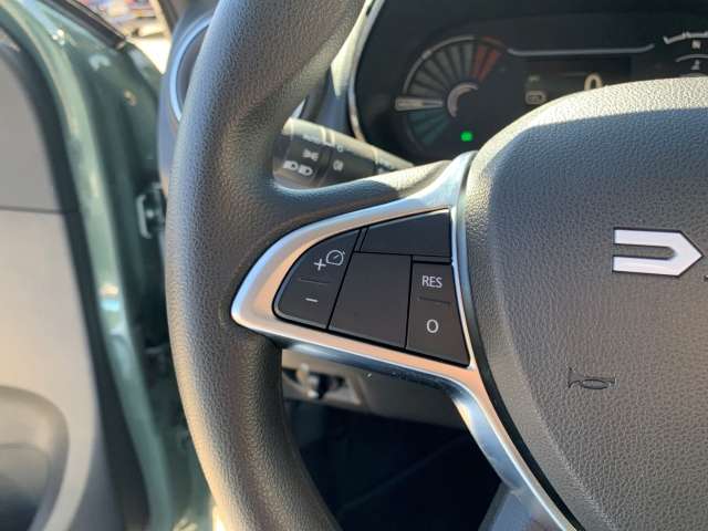 Fahrzeugbild eines Dacia Spring