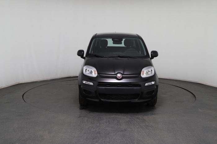Fahrzeugbild eines Fiat Panda