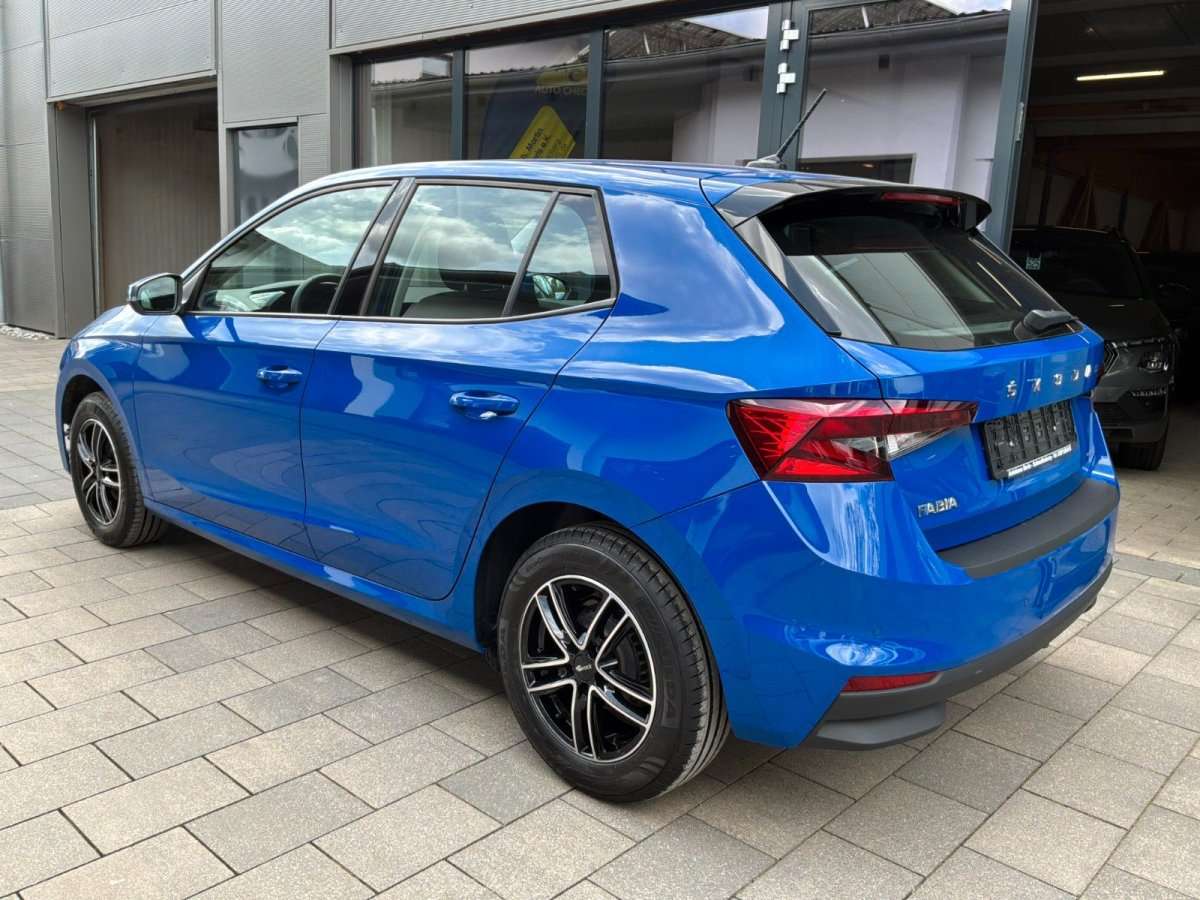 Fahrzeugbild eines Skoda Fabia