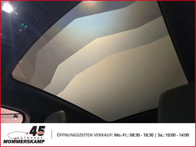 Fahrzeugbild eines Mitsubishi Grandis
