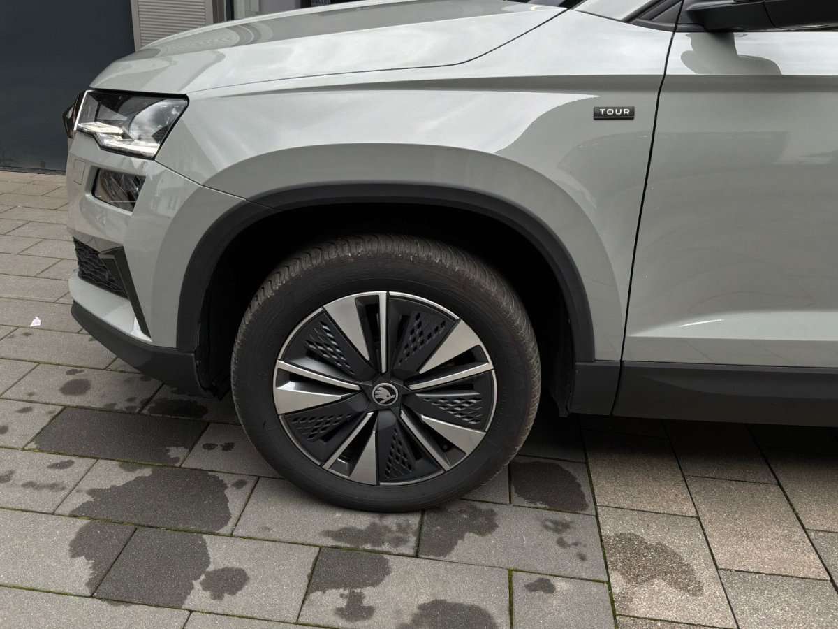 Fahrzeugbild eines Skoda Karoq