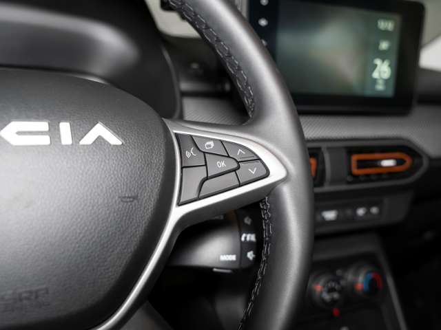 Fahrzeugbild eines Dacia Sandero