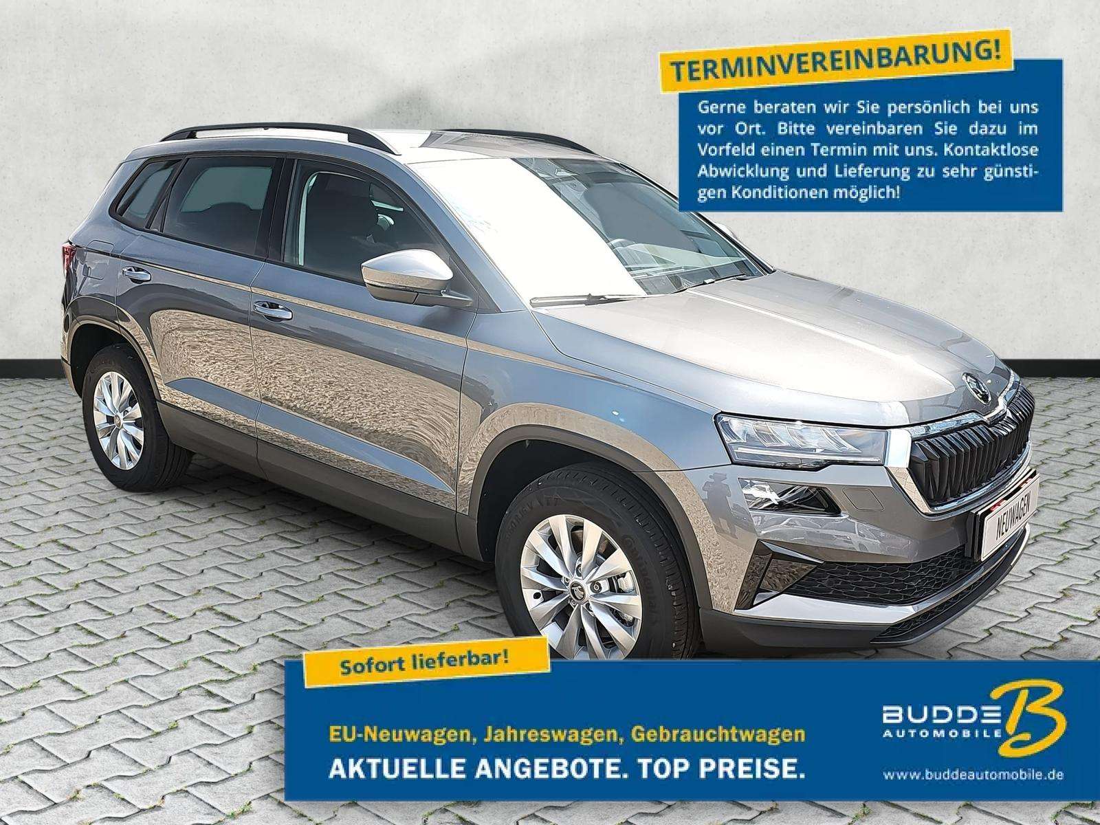 Fahrzeugbild eines Skoda Karoq