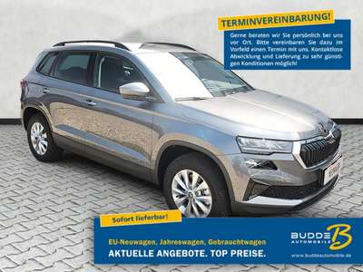 Bild Skoda Karoq