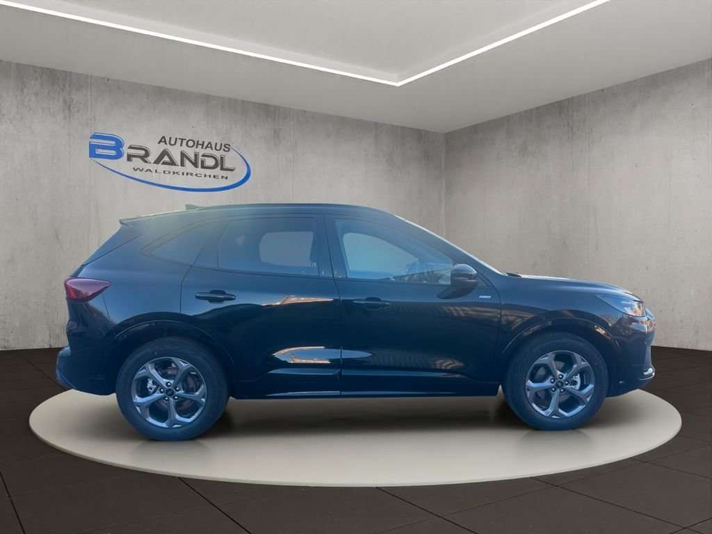 Fahrzeugbild eines Ford Kuga