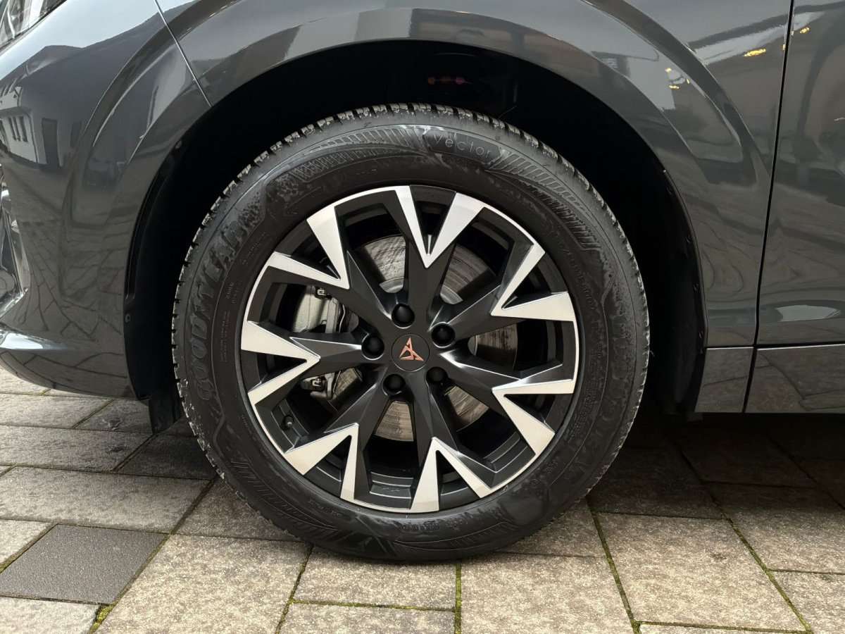 Fahrzeugbild eines CUPRA Terramar