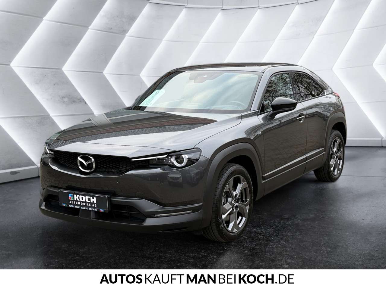 Fahrzeugbild eines Mazda MX-30