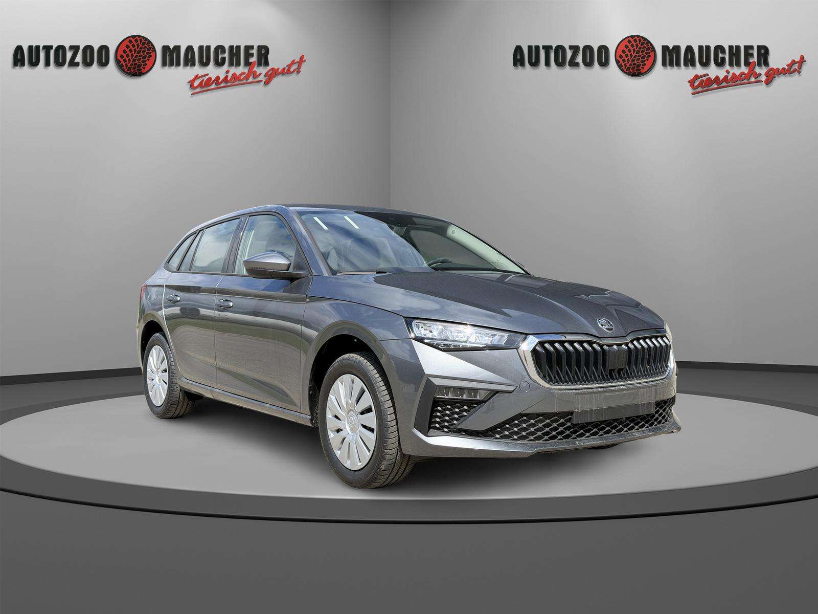 Fahrzeugbild eines Skoda Scala