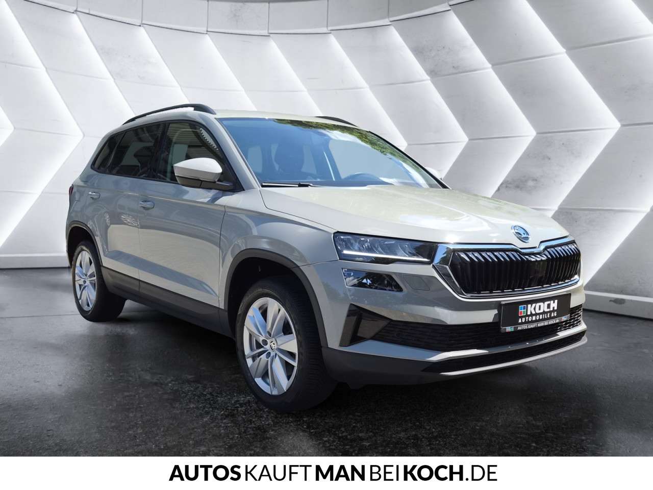 Fahrzeugbild eines Skoda Karoq