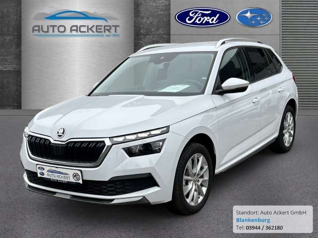 Fahrzeugbild eines Skoda Kamiq