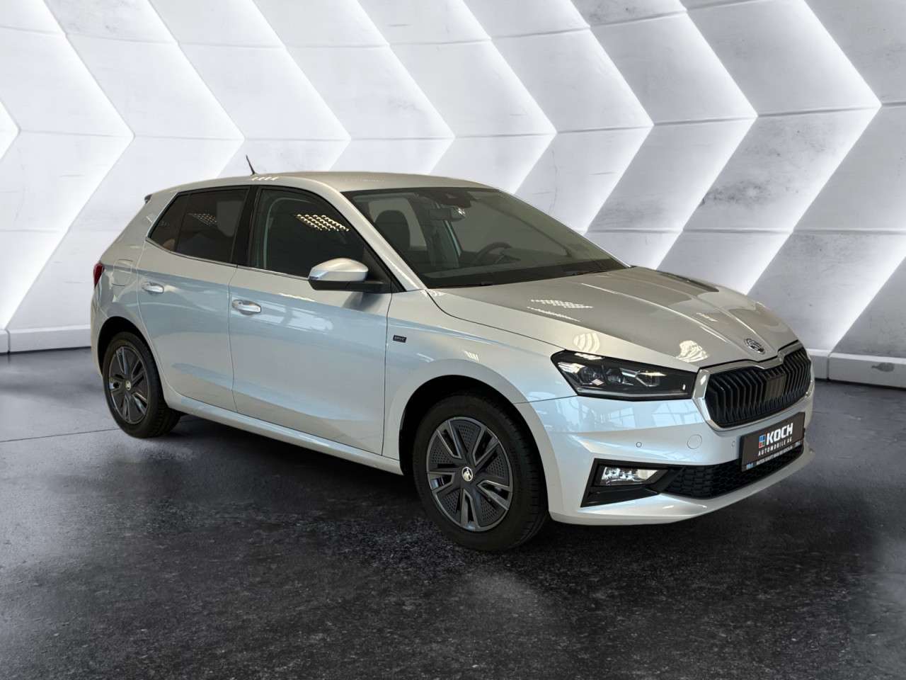 Fahrzeugbild eines Skoda Fabia