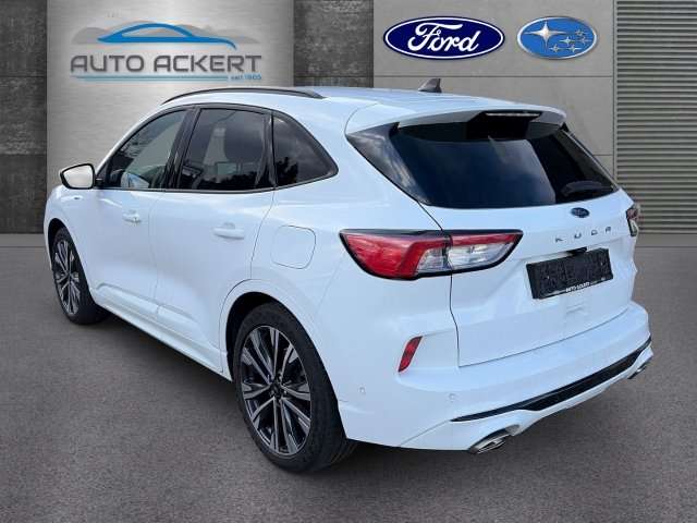 Fahrzeugbild eines Ford Kuga