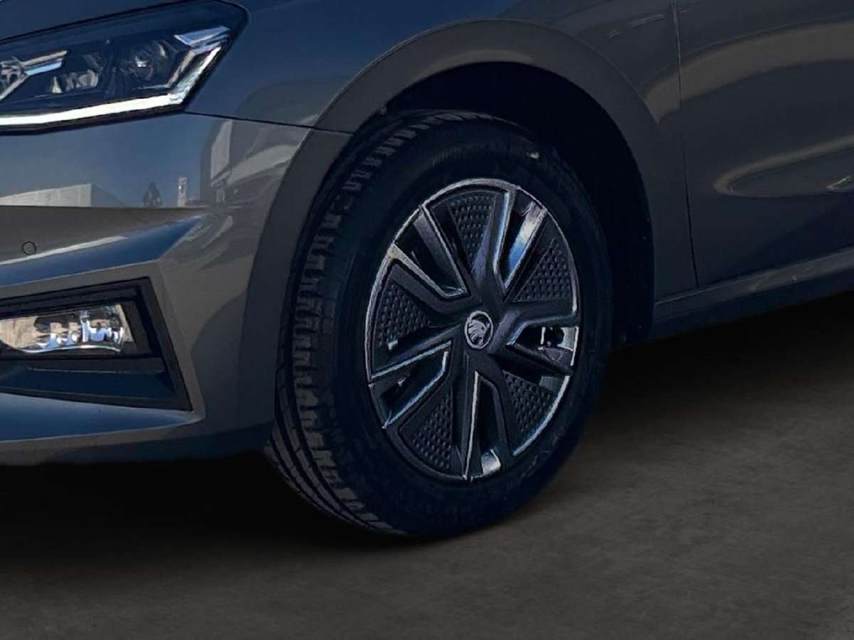 Fahrzeugbild eines Skoda Fabia