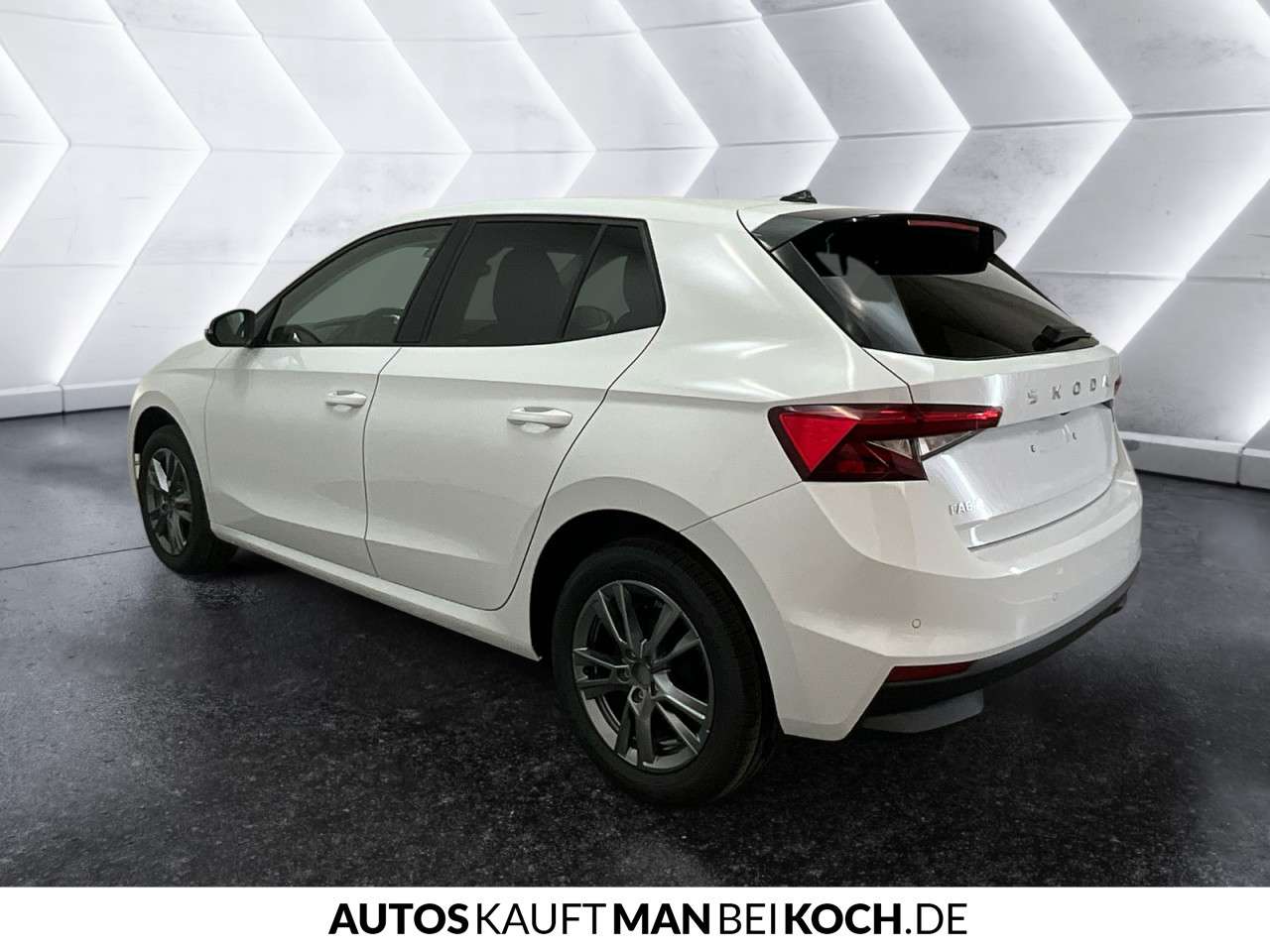 Fahrzeugbild eines Skoda Fabia