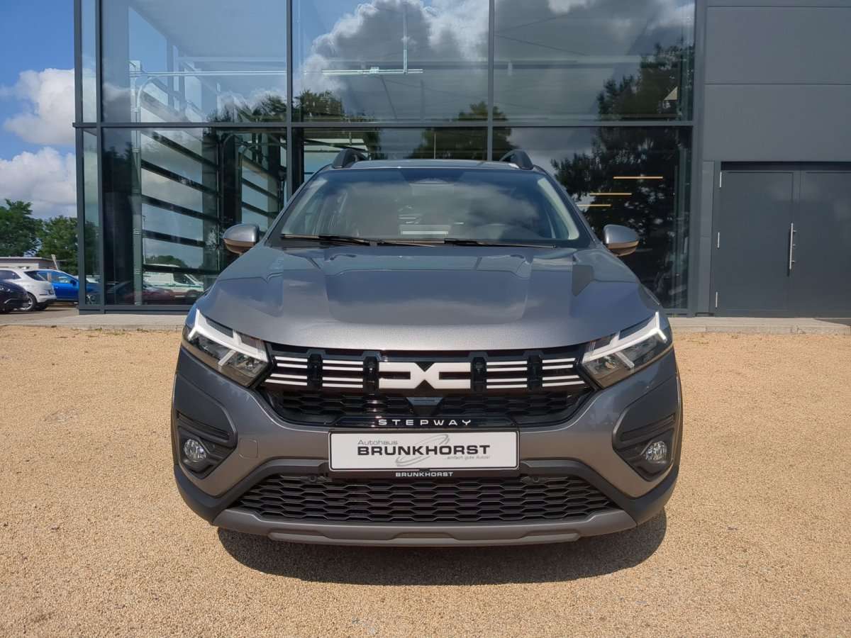 Fahrzeugbild eines Dacia Sandero