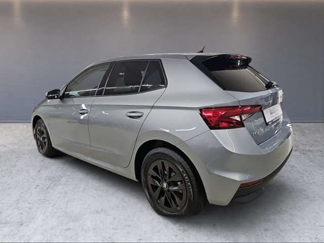 Fahrzeugbild eines Skoda Fabia