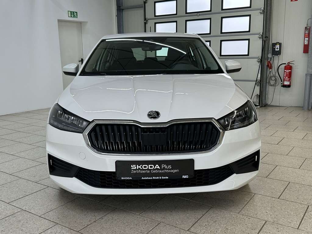 Fahrzeugbild eines Skoda Fabia