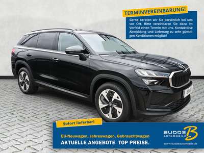 Bild Skoda Kodiaq