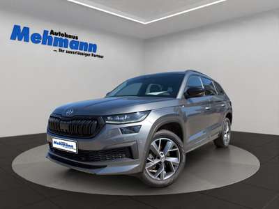 Bild Skoda Kodiaq