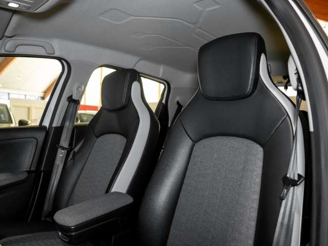 Fahrzeugbild eines Renault ZOE