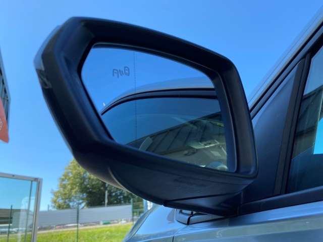 Fahrzeugbild eines Volkswagen Polo