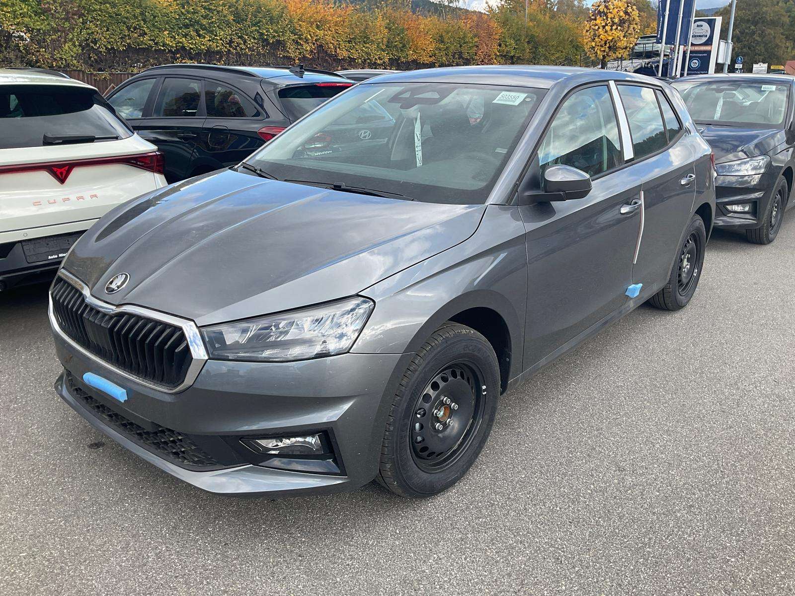 Fahrzeugbild eines Skoda Fabia