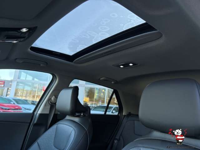 Fahrzeugbild eines Kia Niro