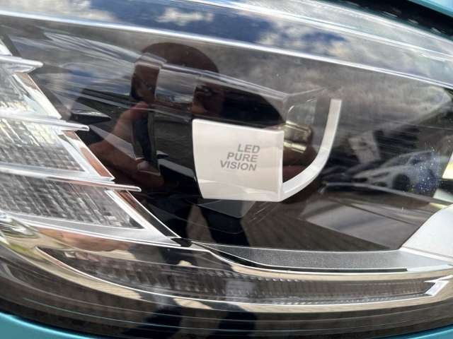 Fahrzeugbild eines Renault Grand Scénic