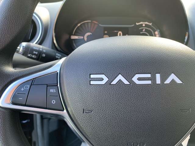 Fahrzeugbild eines Dacia Spring