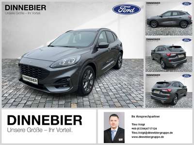 Bild Ford Kuga